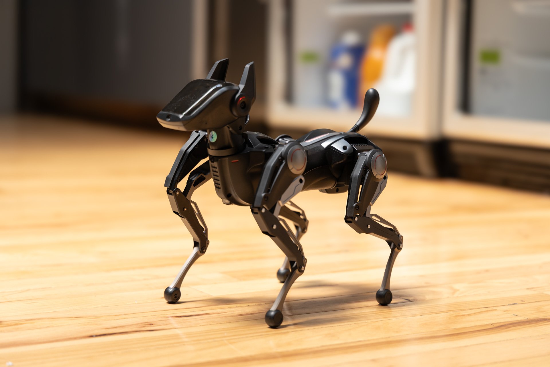 The Rise of Robot Dogs: A Closer Look at Sirius and Its Competitors