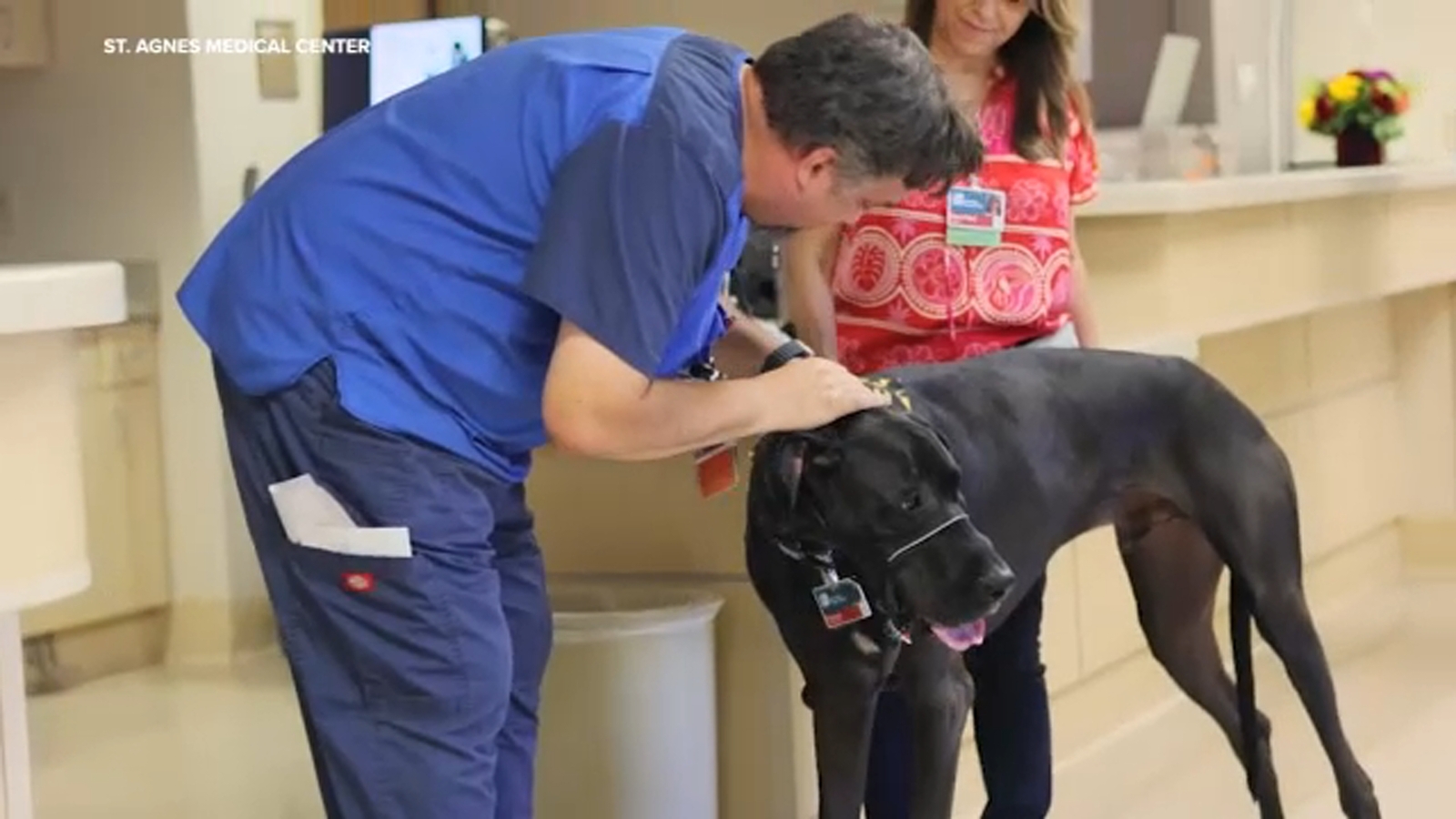 Therapy Dogs Bring Joy to Patients at St. Agnes Medical Center
