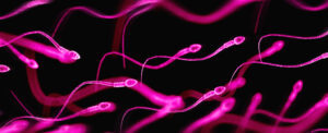understanding-seminal-plasma-hypersensitivity-a-hidden-allergy