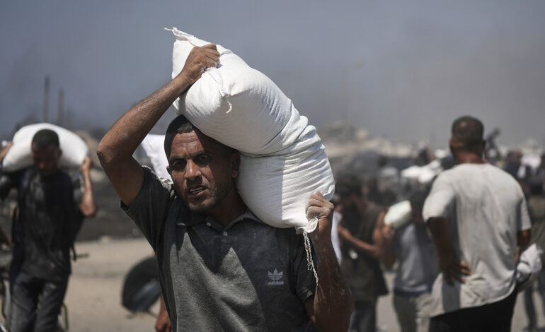 Urgent Action Needed as Gaza Faces Imminent Famine Crisis
