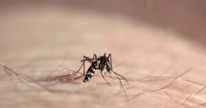 urgent-colorado-man-hospitalized-as-west-nile-virus-cases-surge