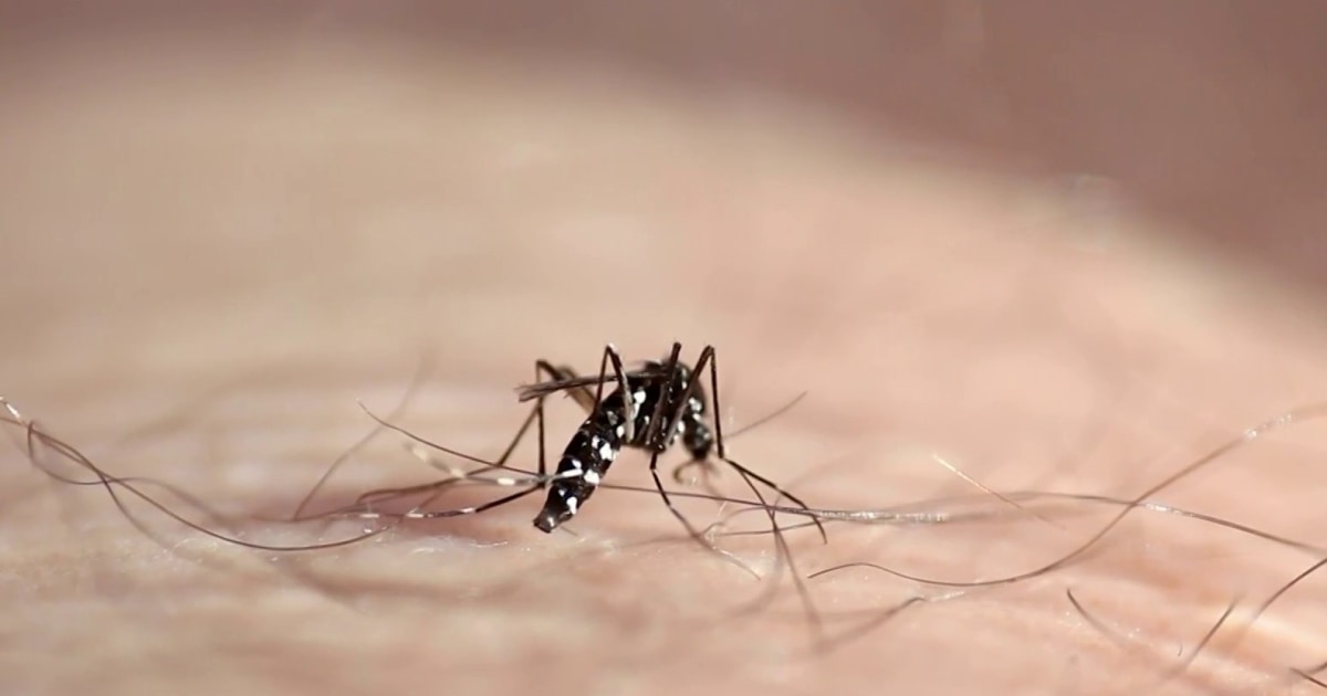 Urgent: Colorado Man Hospitalized as West Nile Virus Cases Surge