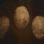 when-we-could-have-known-climate-change-s-early-signals-revealed
