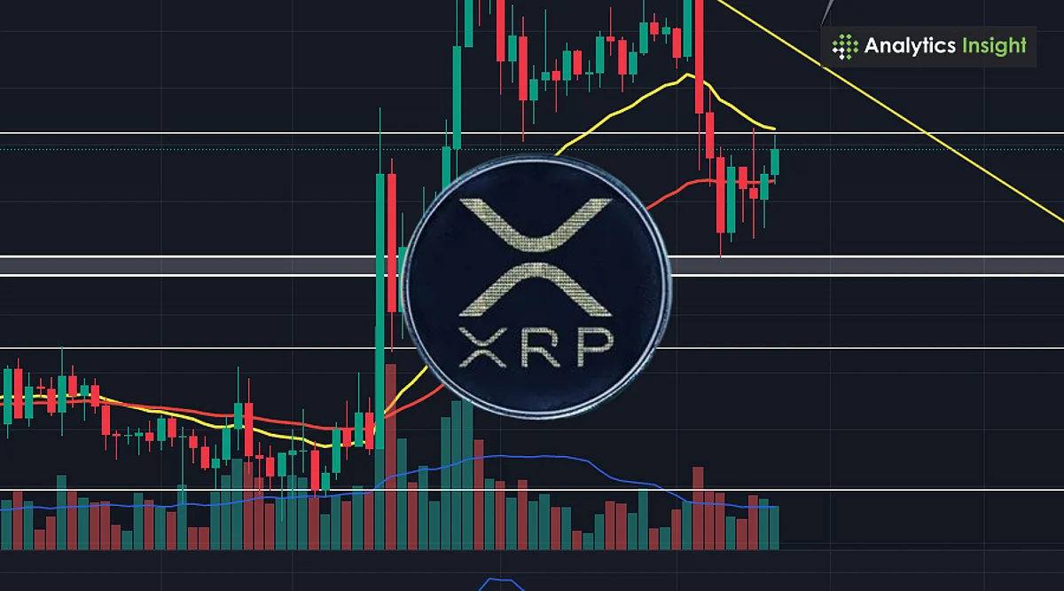 XRP Price Surge: Can Global Adoption Drive It to $30?