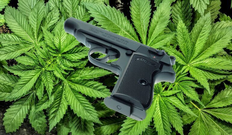 11th Circuit Revives Challenge Against Federal Gun Ban for Medical Cannabis Users