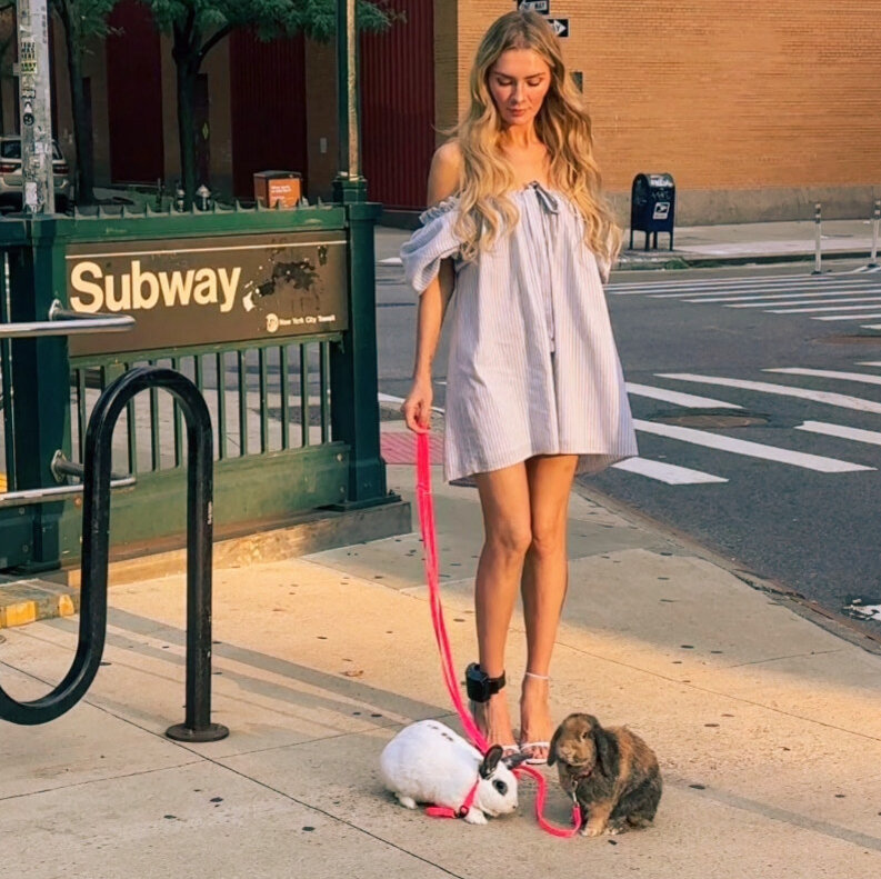 Abandoned Bunnies Found After Anna Sorokin’s Photo Shoot