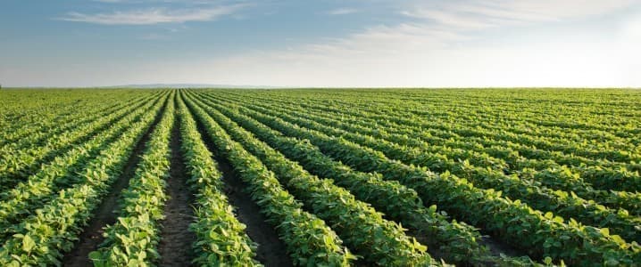 American Farmland Prices Surge to Record Highs Amid Growing Demand