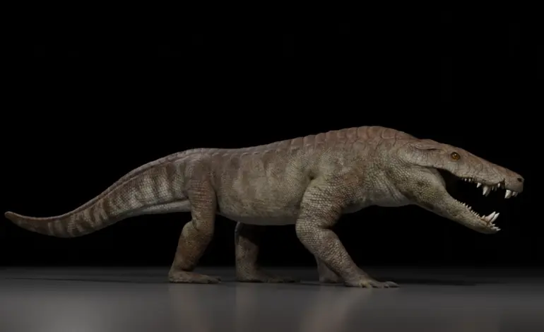 Ancient Croc Skeleton Discovered in Argentina Reveals New Predator