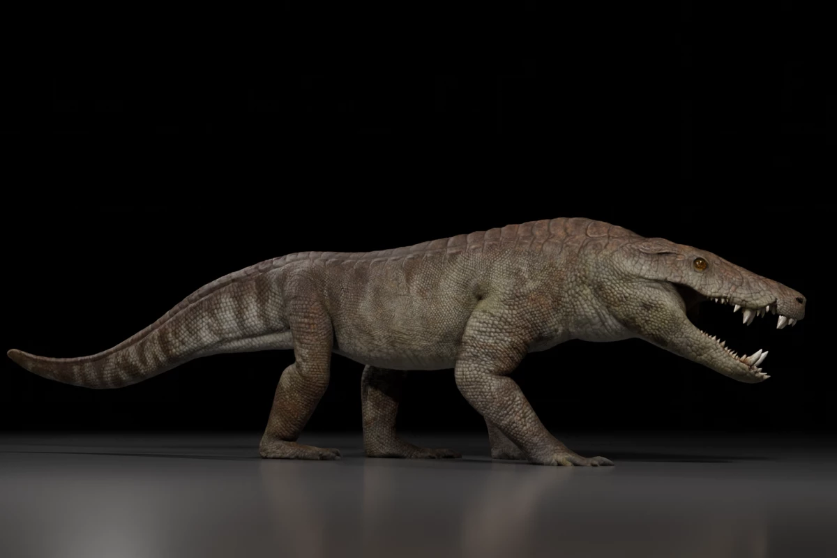 Ancient Croc Skeleton Discovered in Argentina Reveals New Predator