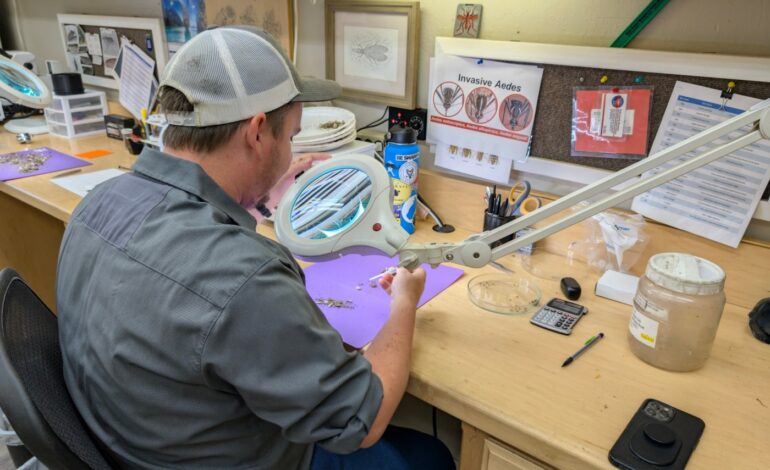 Butte County Reports First West Nile Virus Death of 2023