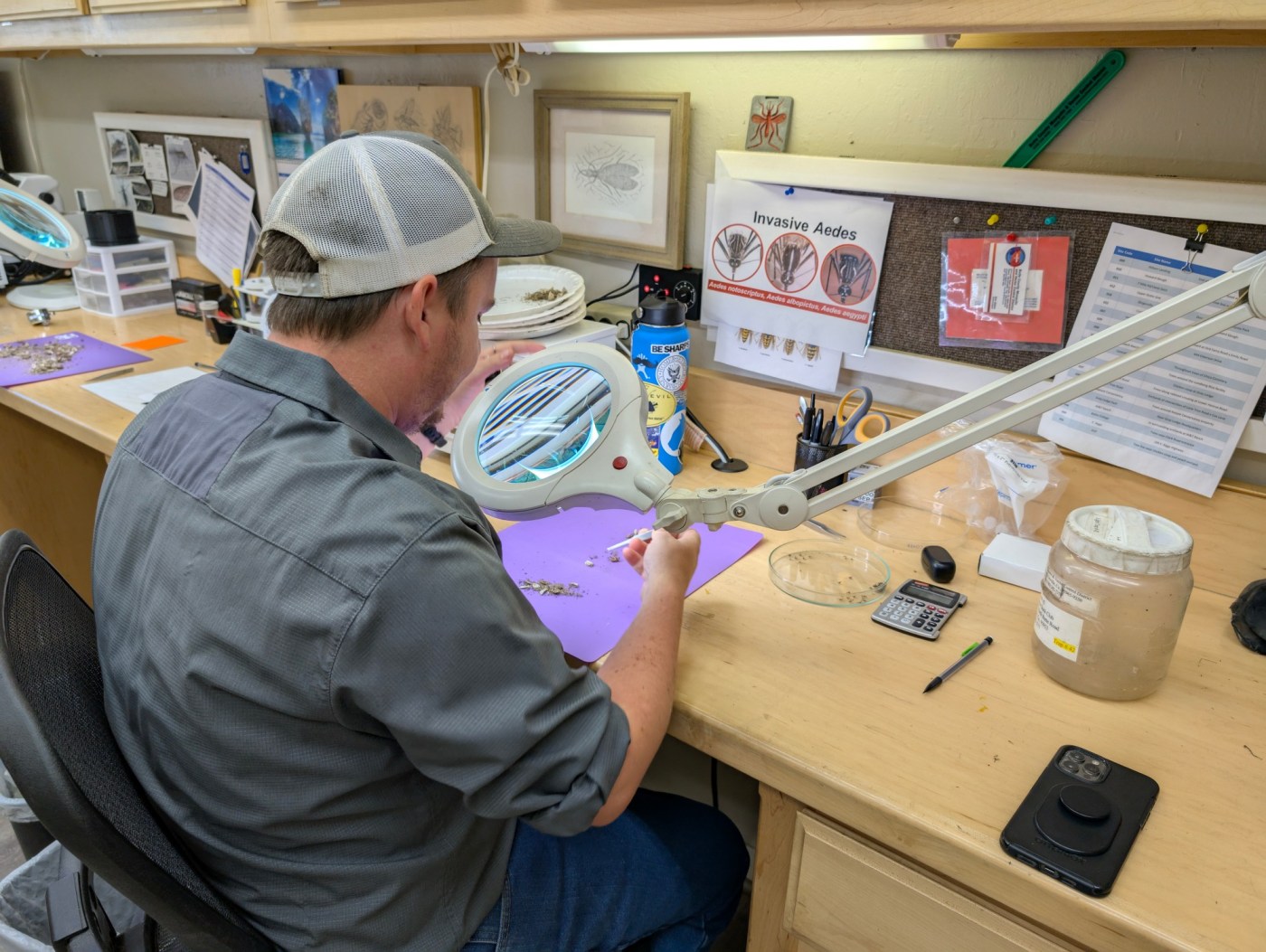 Butte County Reports First West Nile Virus Death of 2023