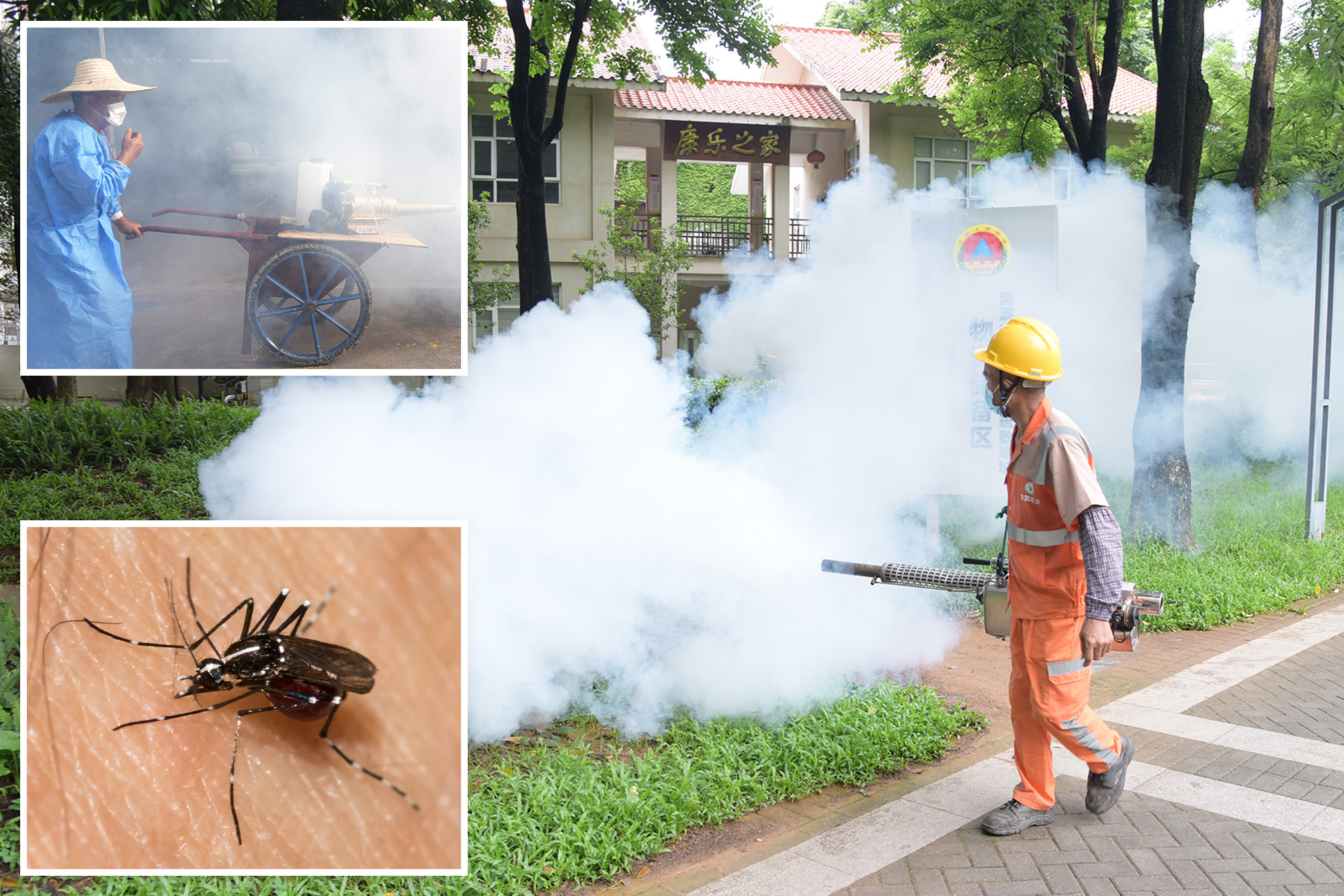 China Battles Chikungunya Outbreak as 8,000 Infected
