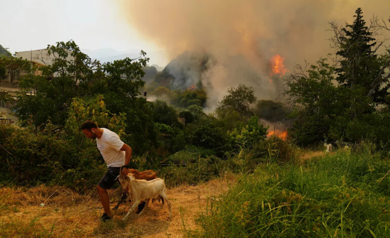Climate Change Intensifies Wildfires in Turkey, Greece, and Cyprus