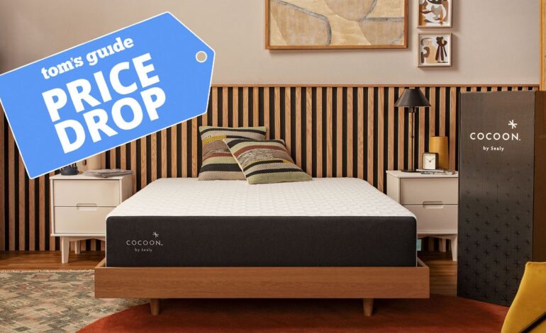 Cocoon by Sealy Reduces Price of Chill Mattress to $599