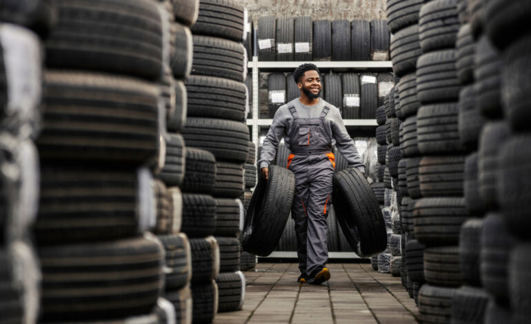 Consumers Weigh In: Are Douglas Tires Worth the Investment?