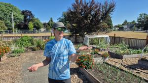 Corvallis Teens Cultivate Community Through Urban Farming