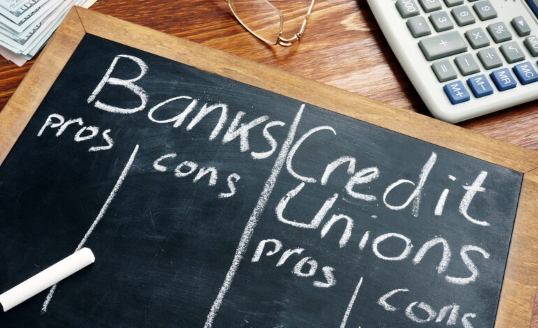 Credit Union Leader Vows to Defend Industry As New CEO