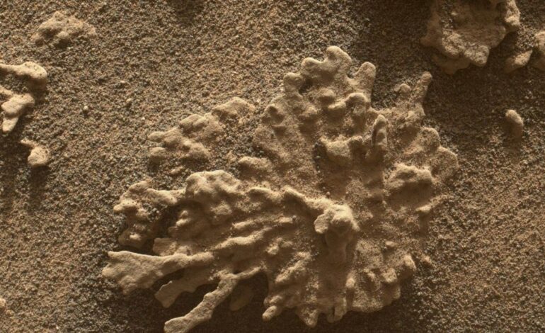Curiosity Rover Marks 13 Years on Mars with New Discoveries