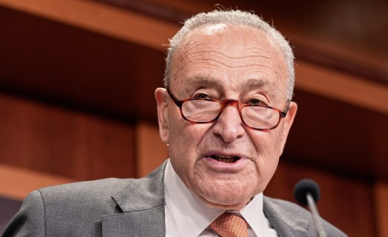 Democrats Confront Crucial Decisions as Government Shutdown Approaches