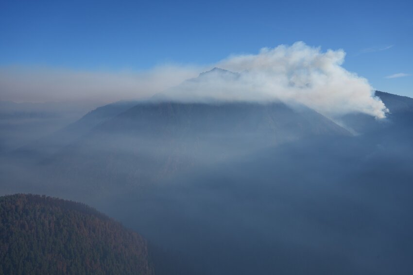 DHS Clarifies: No Firefighters Arrested Amid Wildfire Response