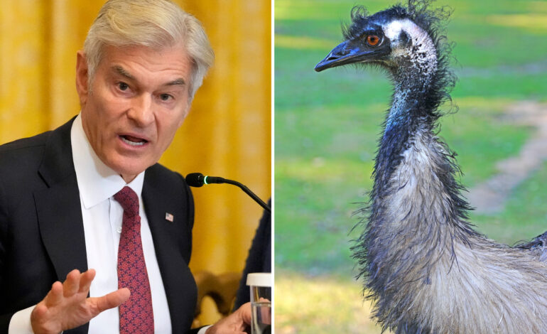 Dr. Oz Appeals to Canada to Save Ostriches from Cull Order