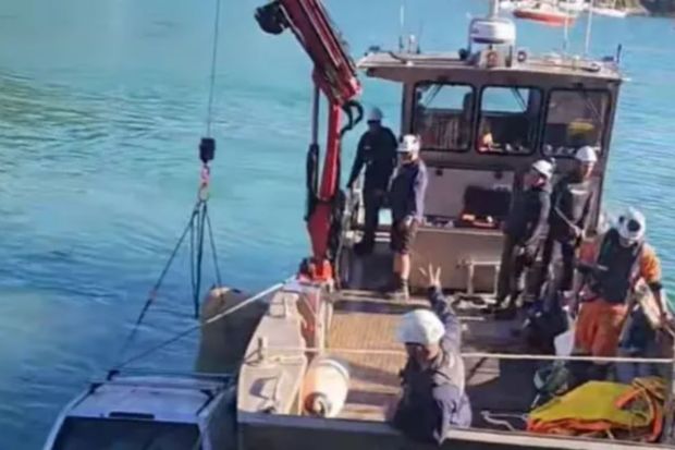 Drunk Driver Plunges Into Ocean at Waiheke Island Ferry Terminal