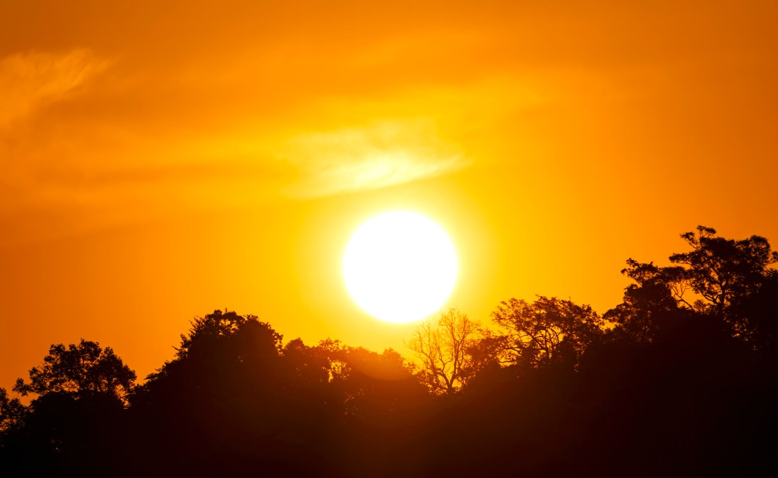 Extreme Heat Linked to Accelerated Aging, New Study Reveals