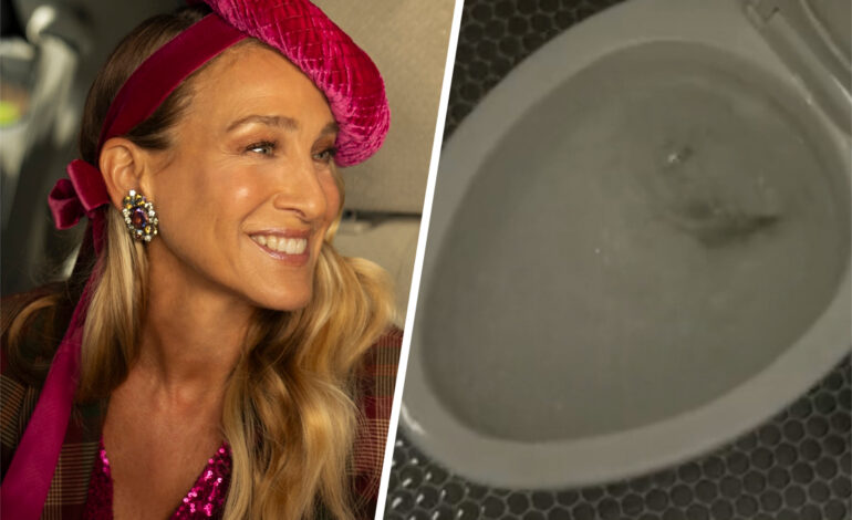 Fans Outraged Over ‘And Just Like That’ Finale Toilet Scene