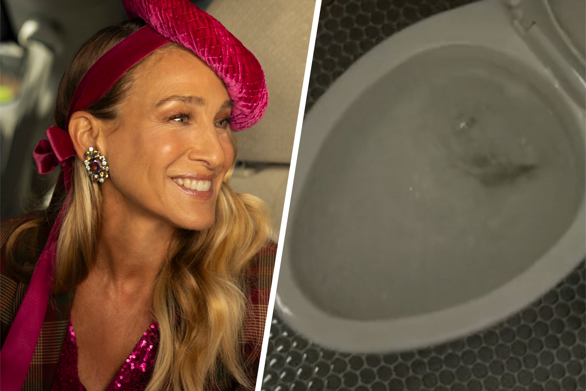 Fans Outraged Over ‘And Just Like That’ Finale Toilet Scene