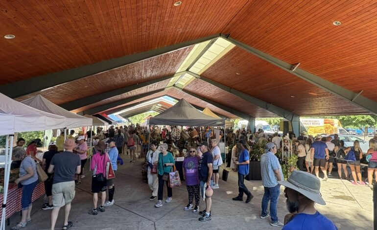 Farmers Market Offers Immunity Boosts as School Year Begins