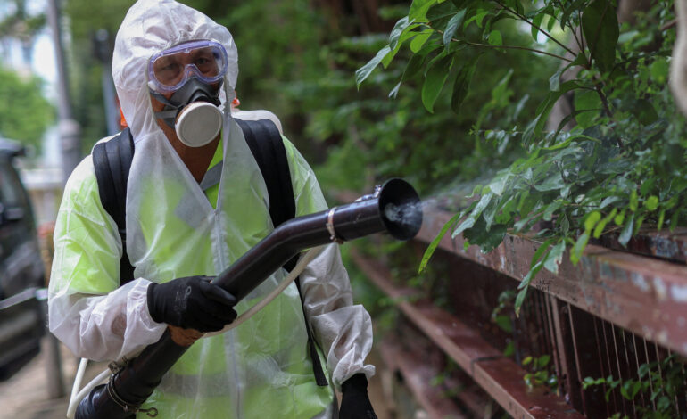 Global Surge in Chikungunya Cases Raises Health Concerns