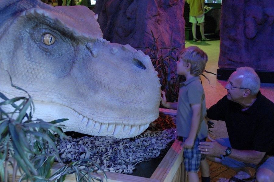 Grapevine Unveils Exciting Dinosaur Festivities This Summer!