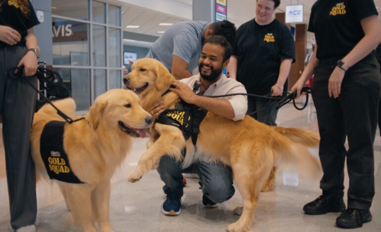 Hertz Launches Gold Squad with Dogs to Comfort Travelers NOW