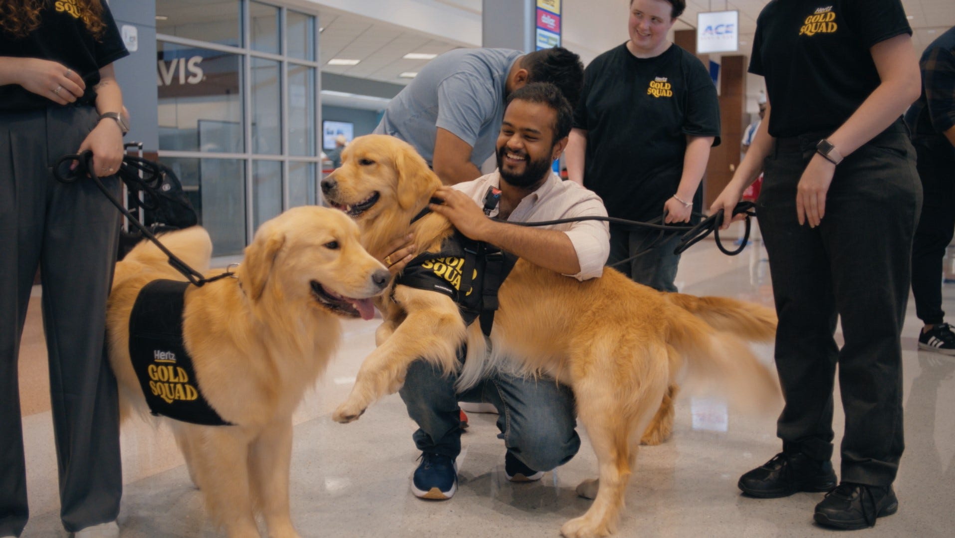 Hertz Launches Gold Squad with Dogs to Comfort Travelers NOW
