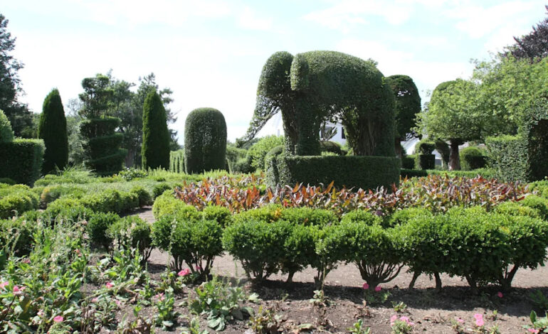 HGTV Names Green Animals Topiary Garden Best in Rhode Island