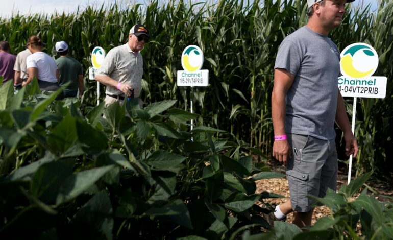 Minnesota Farmers Request State Intervention Amid Foreclosure Crisis