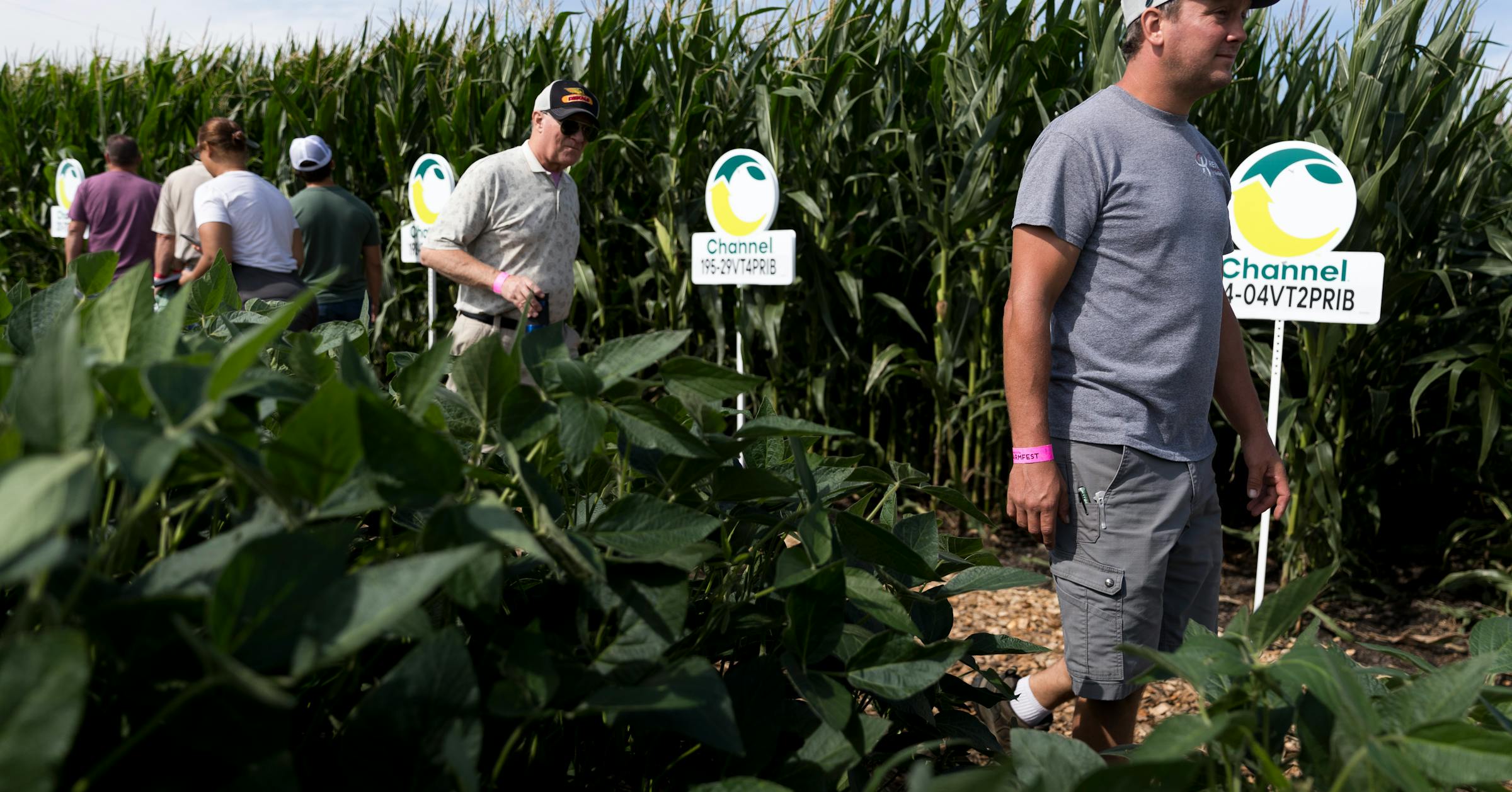 Minnesota Farmers Request State Intervention Amid Foreclosure Crisis