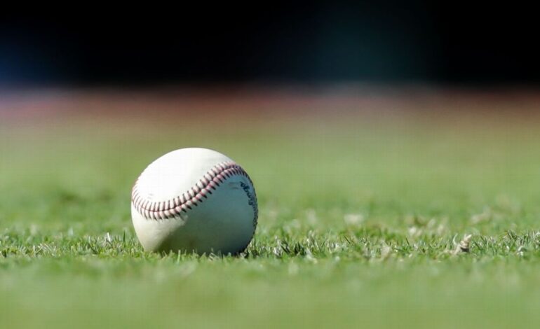 Minor League Shortstop Peyton Holt Receives 80-Game Suspension