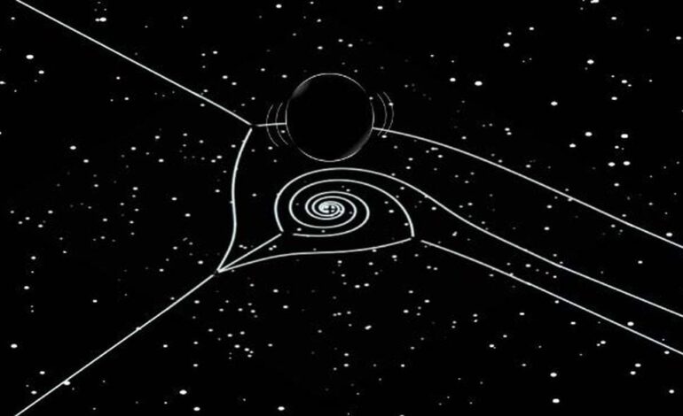 New Insights into Black Holes Through Vibrational Analysis