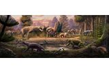 New Species Discovered in Africa Reveal Secrets of Permian Era