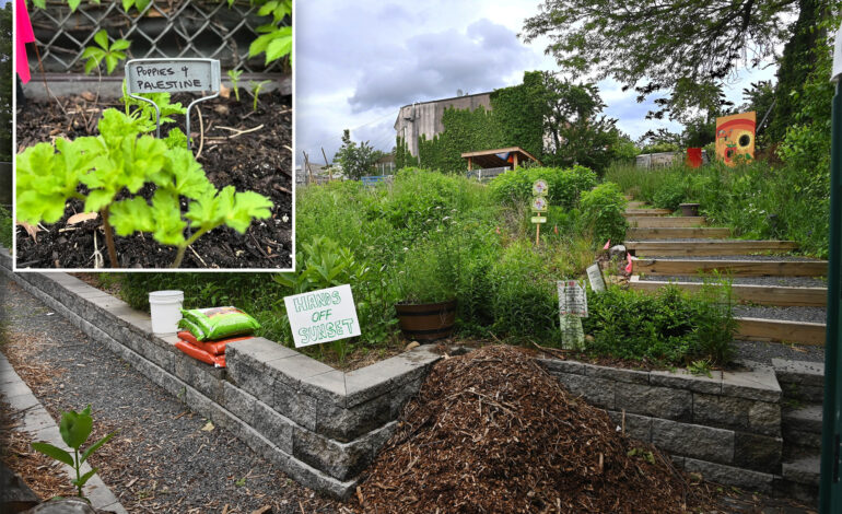 NYC Parks Department Orders Anti-Israel Garden to Vacate by Sept. 3