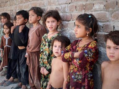 Polio Fight Faces Setbacks Amid Misinformation and Mismanagement