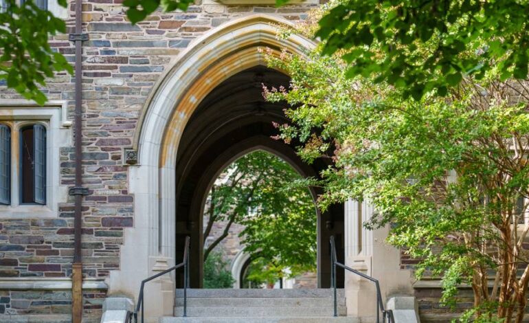 Princeton Joins New NSF AI Materials Institute with $20M Investment