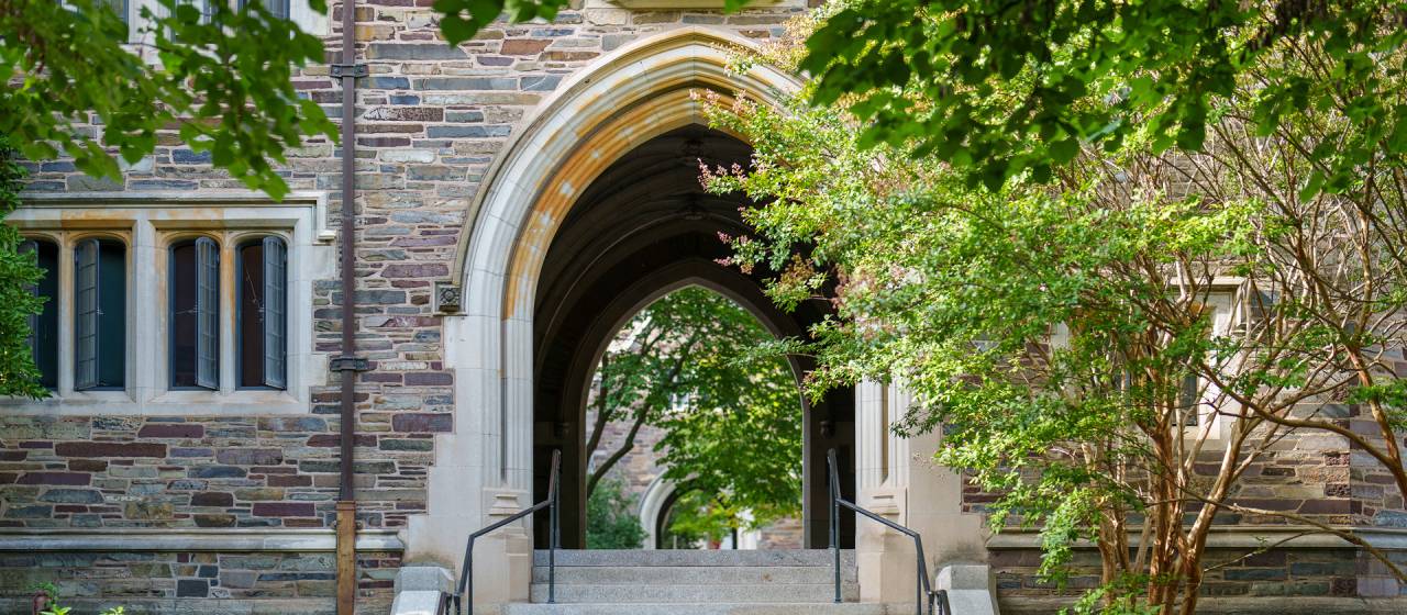 Princeton Joins New NSF AI Materials Institute with $20M Investment