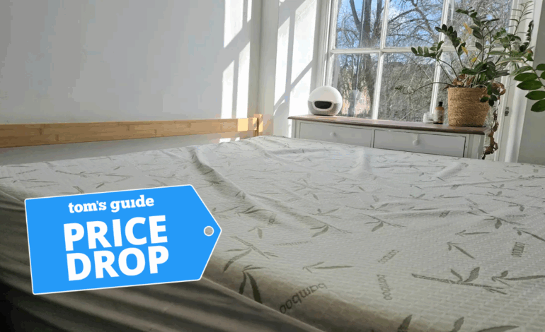 Protect Your Dorm Bed: Waterproof Mattress Protector Sale Now On
