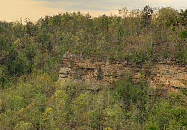 Rescuers Save Two Women from Hot Tub Emergency in Kentucky