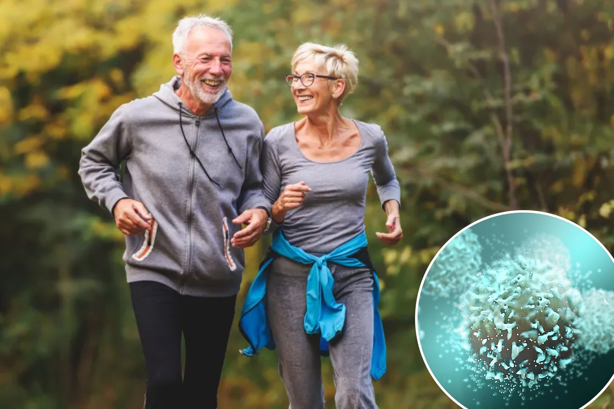 Seniors Enjoy Immune Strength but Face Autoimmunity Risks