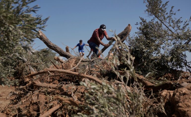 Settlement Violence in West Bank: A Call for Global Outrage