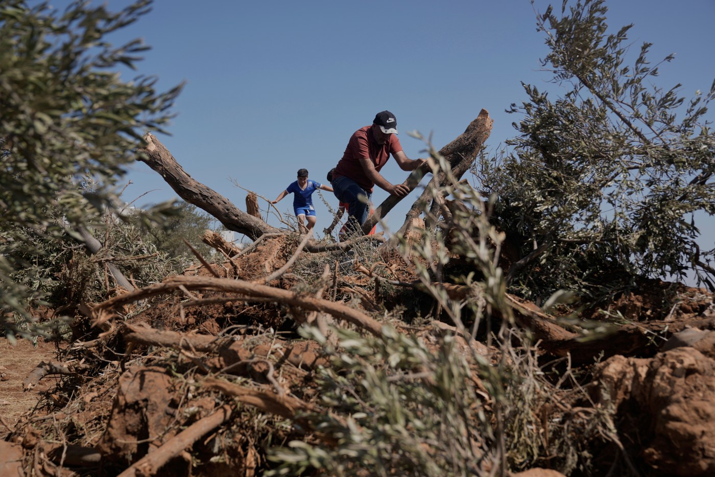 Settlement Violence in West Bank: A Call for Global Outrage