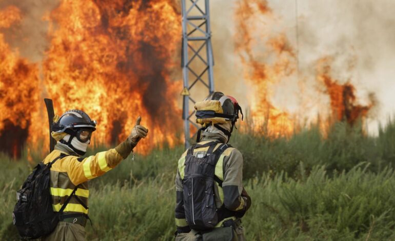 Spain Sends 500 Troops to Combat Wildfires Amid Extreme Heat